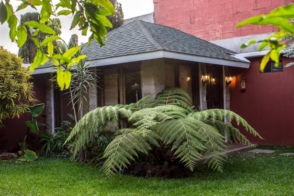 Mi Casa, Tu Casa Apartment Guatemala City Exterior photo